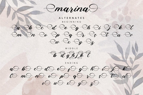 Marina - Modern Script Font Font Alpaprana Studio 