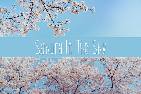 Marine Pinguin Font nearzz 