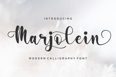 Marjolein Font Qwrtype Foundry 
