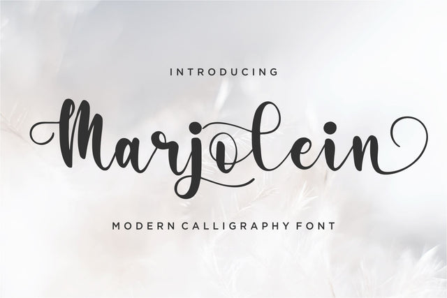 Marjolein Font Qwrtype Foundry 