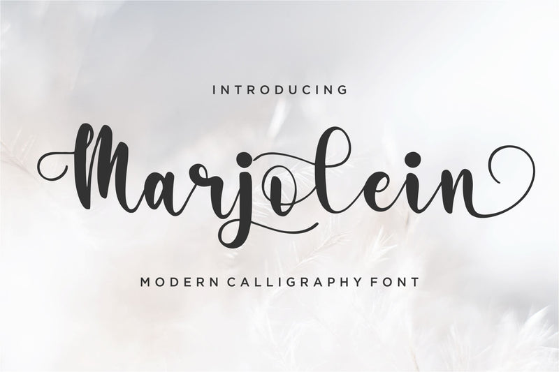 Marjolein Font Qwrtype Foundry 