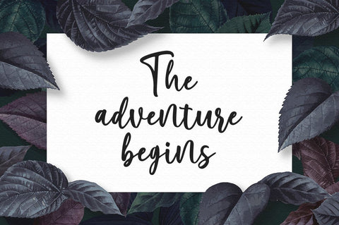 Marliesta Script Font Font Megatype 