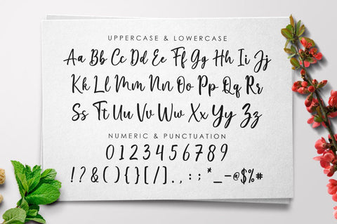 Marliesta Script Font Font Megatype 