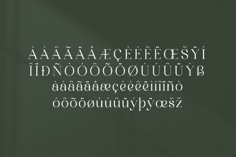 Marllgon Typeface Font Storytype Studio 