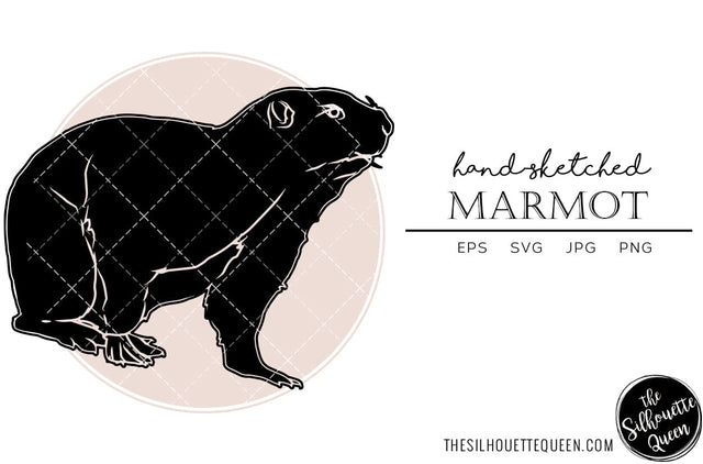 Marmot Sketch Vector SVG Loveleen Kaur 