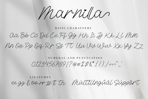 Marnilla Signature Font AEN Creative Store 