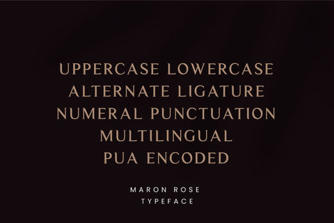 Maron Rose A Luxurious & Stylish Serif Font Font Balevgraph Studio 