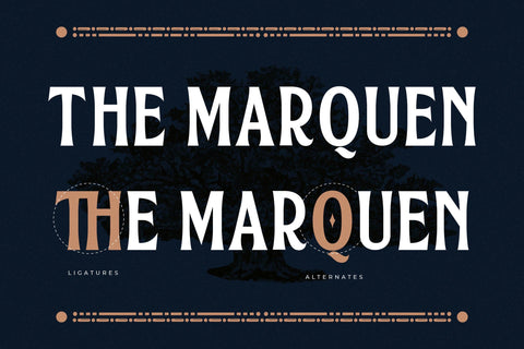Marquen Typeface Font Storytype Studio 