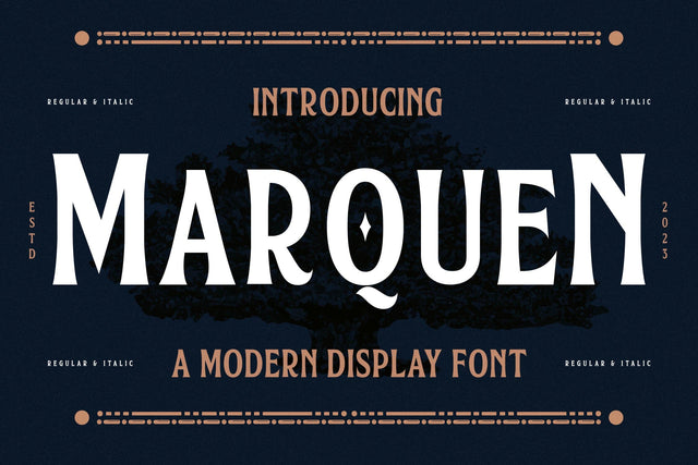 Marquen Typeface Font Storytype Studio 