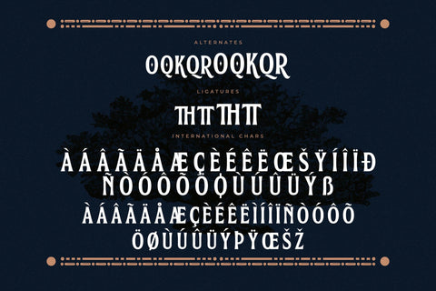 Marquen Typeface Font Storytype Studio 