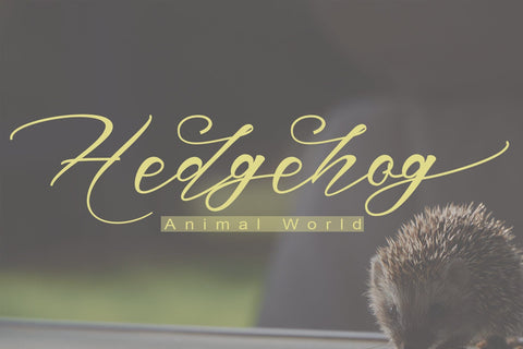 Marsellino Font PolemStudio 