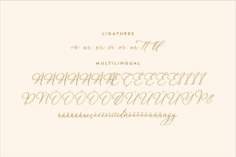 Martigale - Modern Calligraphy Font Font Storytype Studio 