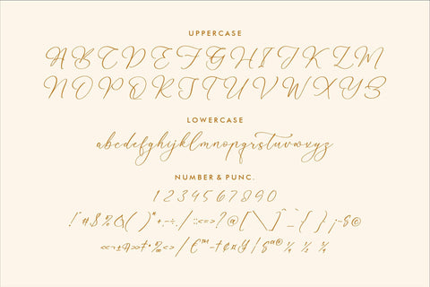 Martigale - Modern Calligraphy Font Font Storytype Studio 