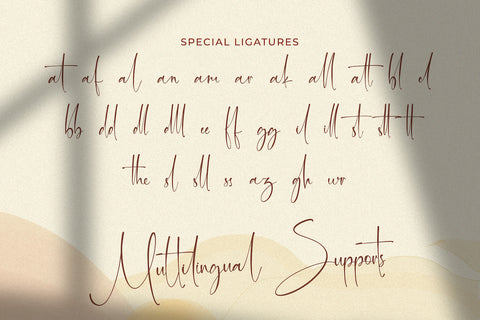 Martin Zidan - Signature Script Font Font StringLabs 