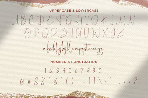 Martin Zidan - Signature Script Font Font StringLabs 