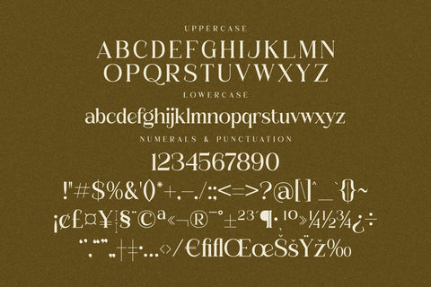 MASLITE Typeface Font Storytype Studio 