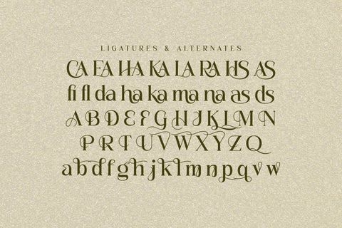 MASLITE Typeface Font Storytype Studio 