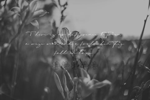 Mastrih Signature Font Font Vultype Co 