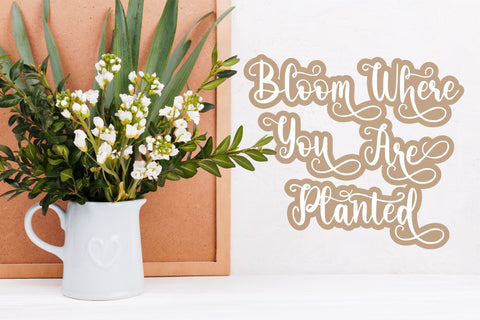 Matilda Calrysta Font Qwrtype Foundry 