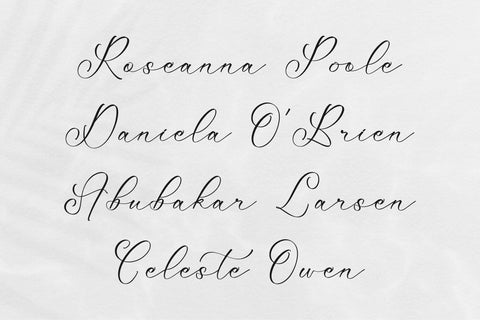 Mattrile Vintales - Beauty Calligraphy Font Font Storytype Studio 