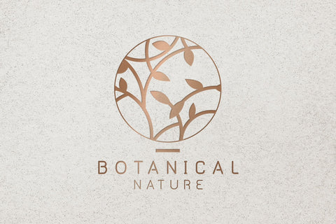 Maximus and MaximusBold Fonts Font Fox7 By Rattana 