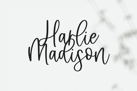 Maybird - Handwritten Script Font Font KA Designs 