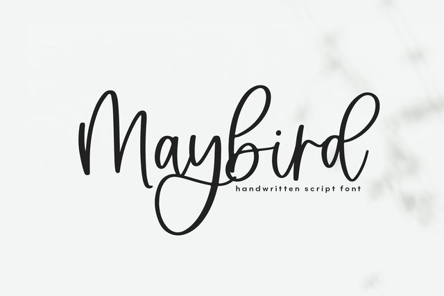 Maybird - Handwritten Script Font Font KA Designs 
