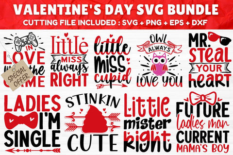 MBS-639 Valentine's Day SVG Bundle SVG Designangry 