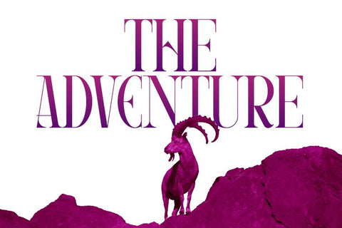 Meaglez Display Serif Font Irvan Randi 