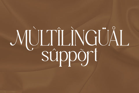 Meaglone Typeface Font Storytype Studio 