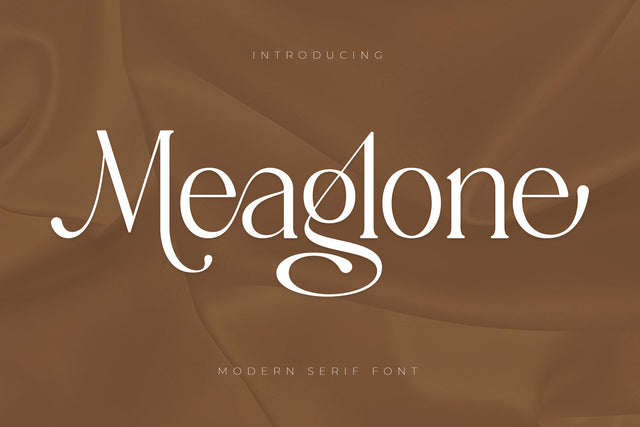 Meaglone Typeface Font Storytype Studio 