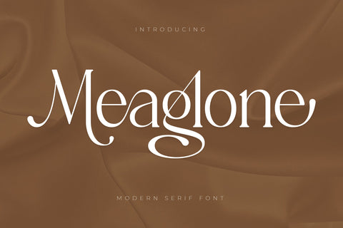 Meaglone Typeface Font Storytype Studio 