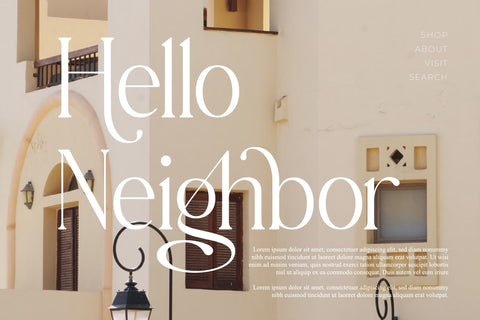 Meaglone Typeface Font Storytype Studio 