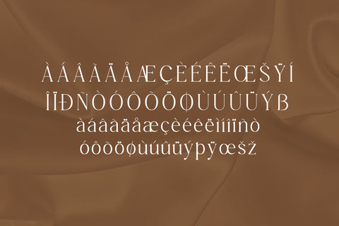 Meaglone Typeface Font Storytype Studio 