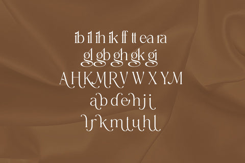 Meaglone Typeface Font Storytype Studio 