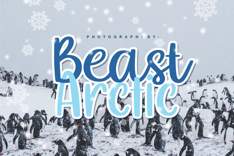 Mealky Winter Font Allouse.Studio 