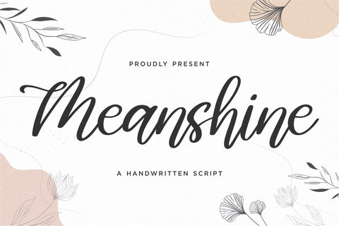 Meanshine Font Qwrtype Foundry 