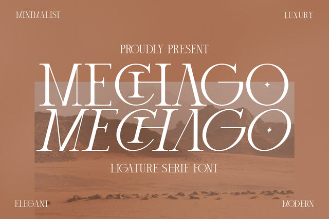 mechago Typeface Font Storytype Studio 