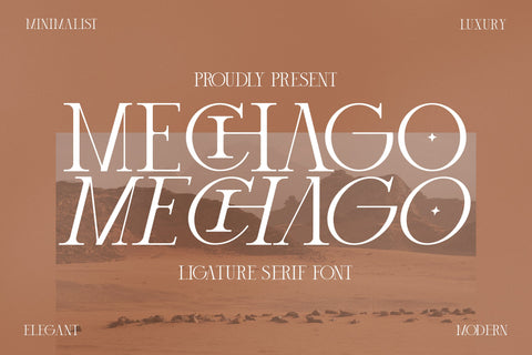mechago Typeface Font Storytype Studio 