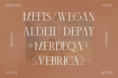 mechago Typeface Font Storytype Studio 