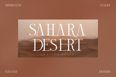 mechago Typeface Font Storytype Studio 