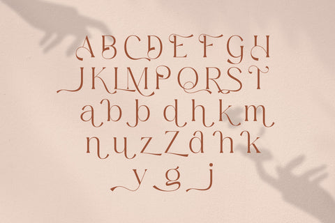 Mediga Typeface Font Storytype Studio 