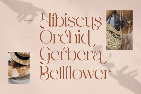 Mediga Typeface Font Storytype Studio 