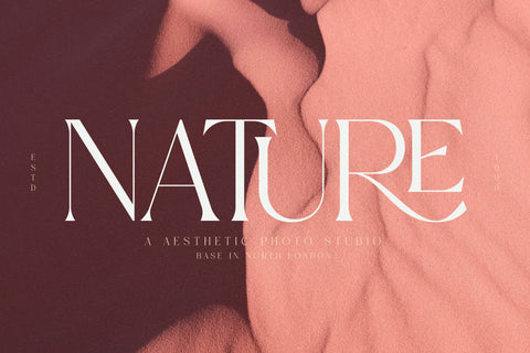 Mediga Typeface Font Storytype Studio 