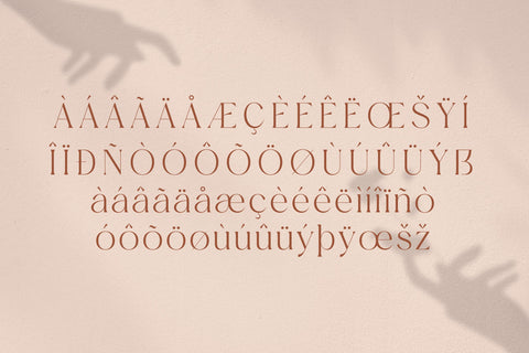 Mediga Typeface Font Storytype Studio 