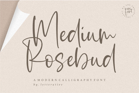 Medium Rosebud Modern Calligraphy Font Font Letterative 