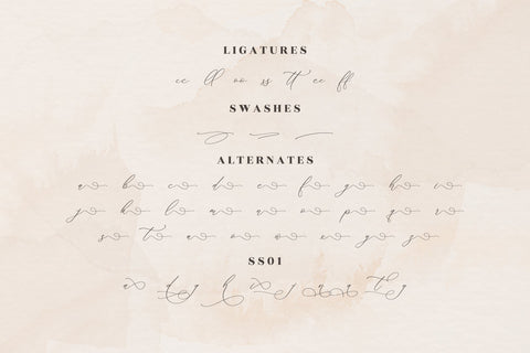 Medusa Luxury Script Font Storytype Studio 