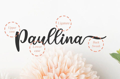 medyna script Font Anastasia 