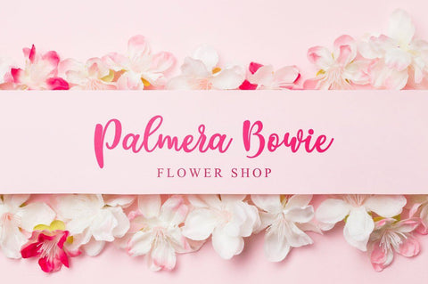 medyna script Font Anastasia 