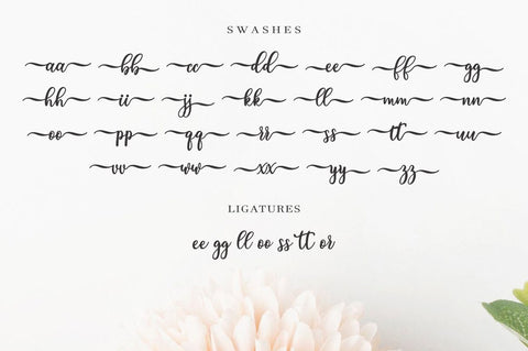 medyna script Font Anastasia 